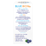 BlueIron BlueIron