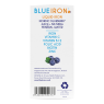 BlueIron BlueIron