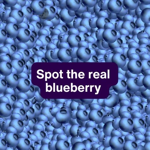 An iron supplement made with real... 